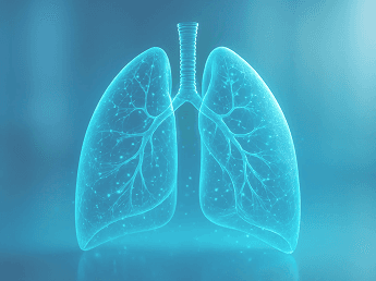 Digital illustration of lungs used in chronic cough and respiratory health monitoring